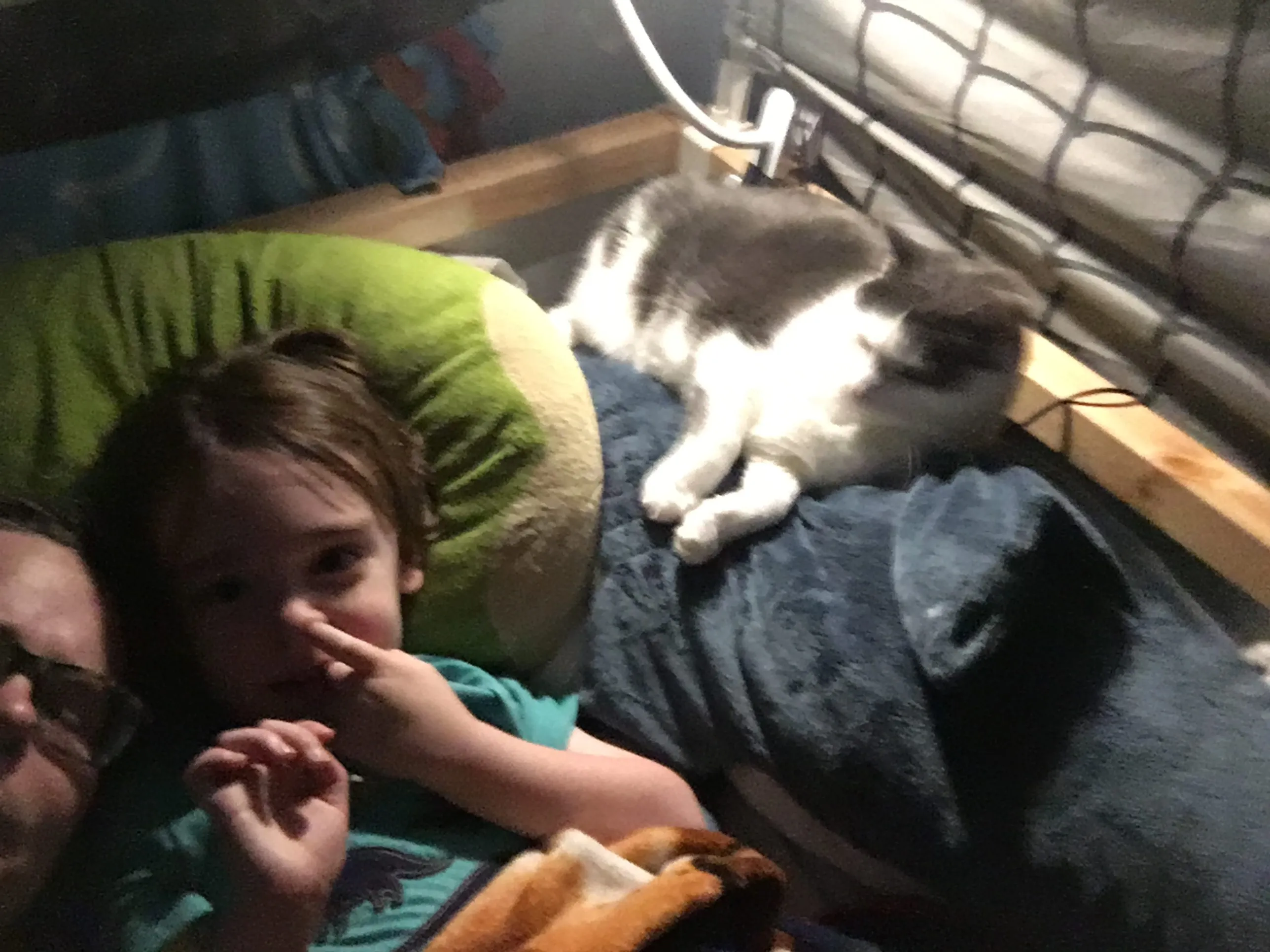 S.J. Goslee at home with one of the cats